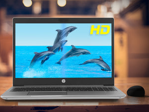 HP 450 G7, 15" HD, i5-10210U, 8GB RAM, 512GB SSD +1TB HDD, MX130, Windows 10 Pro